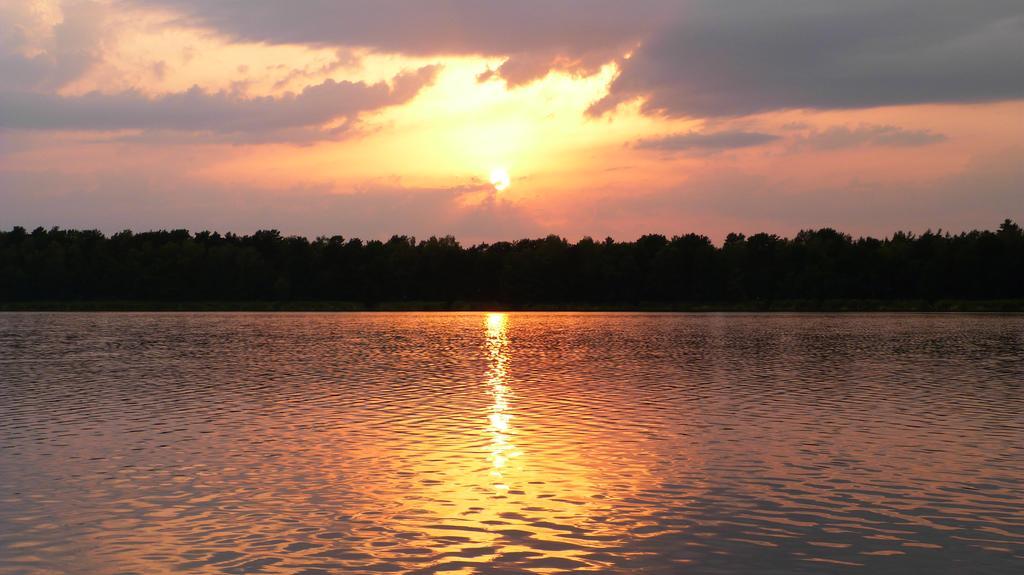Köthen Gaestehaus Liubas Insel מראה חיצוני תמונה